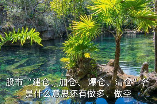 股票爆倉(cāng),上市公司質(zhì)押股票爆倉(cāng)