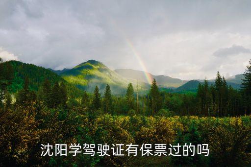 沈陽學(xué)駕駛證有保票過的嗎