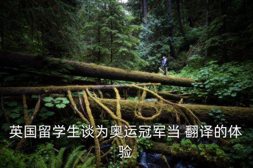 翻譯課的收獲與感悟,英語專業(yè)翻譯實(shí)踐報(bào)告論文
