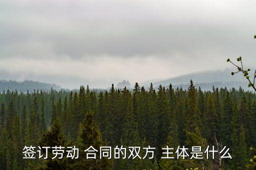 合同訂立的主體,在合同訂立中,合同主體審核應(yīng)該注意