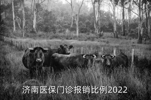 濟南市醫(yī)療保險,城市醫(yī)療保險
