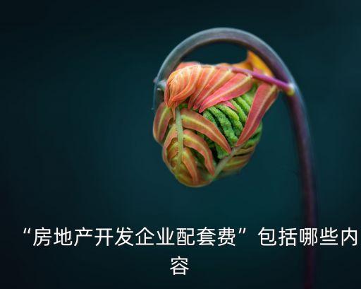 基礎(chǔ)設(shè)施費(fèi),城市基礎(chǔ)設(shè)施費(fèi)