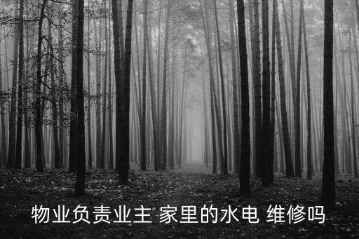 物業(yè)負責(zé)業(yè)主 家里的水電 維修嗎