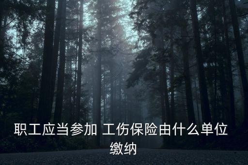 職工應當參加 工傷保險由什么單位 繳納