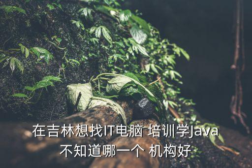 在吉林想找IT電腦 培訓學Java不知道哪一個 機構好