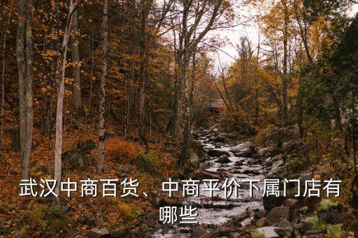 武漢連鎖經(jīng)營,西安連鎖經(jīng)營