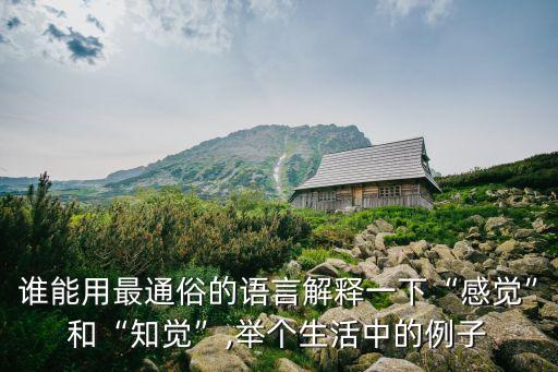 誰能用最通俗的語言解釋一下“感覺”和“知覺”,舉個生活中的例子