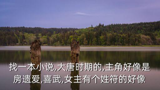 找一本小說,大唐時期的,主角好像是房遺愛,喜武,女主有個姓符的好像
