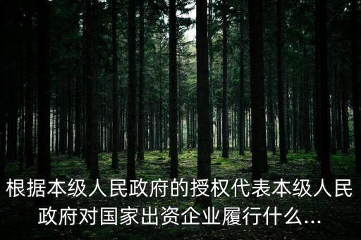 出資人職責(zé),國(guó)家出資企業(yè)由誰履行出資人職責(zé)