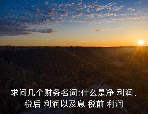 求問幾個財務(wù)名詞:什么是凈 利潤、稅后 利潤以及息 稅前 利潤