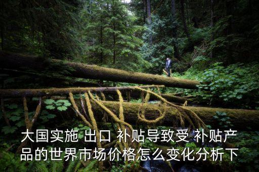 大國實施 出口 補貼導致受 補貼產(chǎn)品的世界市場價格怎么變化分析下