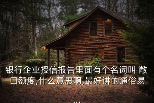 銀行企業(yè)授信報告里面有個名詞叫 敞口額度,什么意思啊,最好講的通俗易...