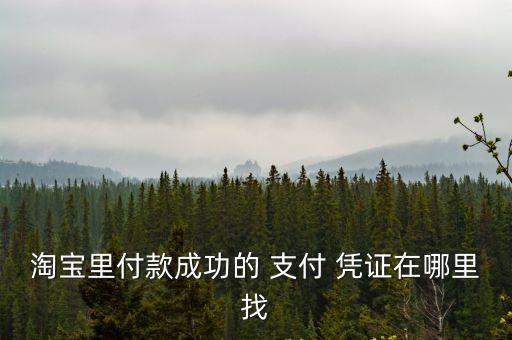 支付憑證