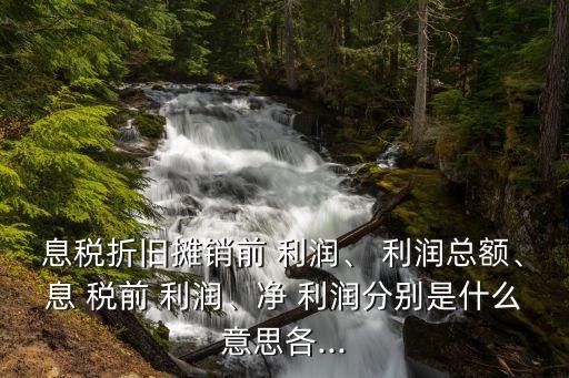 息稅折舊攤銷前 利潤、 利潤總額、息 稅前 利潤、凈 利潤分別是什么意思各...