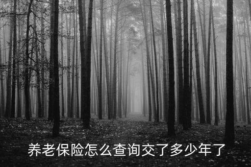 查養(yǎng)老保險交幾年了怎么查,支付寶查養(yǎng)老保險交幾年了怎么查