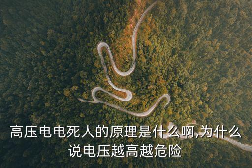 電擊死