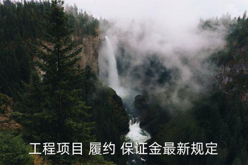 工程項(xiàng)目 履約 保證金最新規(guī)定
