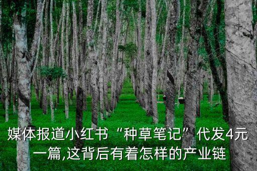 媒體報道小紅書“種草筆記”代發(fā)4元 一篇,這背后有著怎樣的產(chǎn)業(yè)鏈