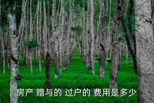房產(chǎn) 贈與的 過戶的 費用是多少