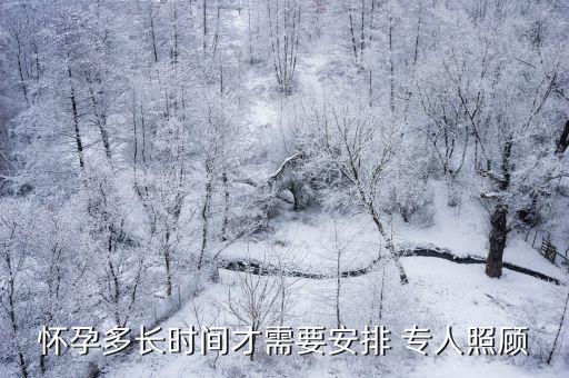 專人
