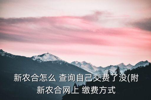  新農(nóng)合怎么 查詢自己交費(fèi)了沒(附 新農(nóng)合網(wǎng)上 繳費(fèi)方式
