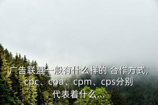 合作 縮寫,上海合作組織的縮寫