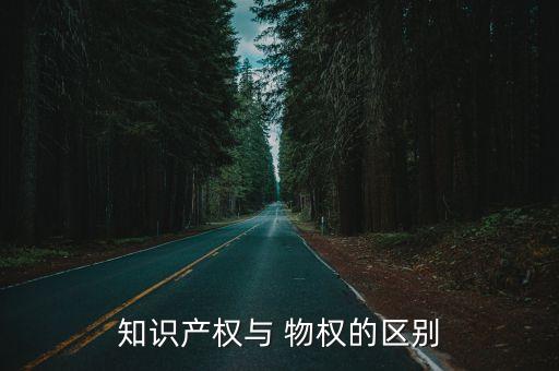 知識(shí)產(chǎn)權(quán)與 物權(quán)的區(qū)別