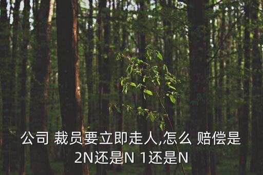 公司 裁員要立即走人,怎么 賠償是2N還是N 1還是N