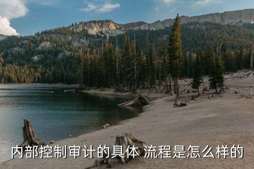 內(nèi)部控制審計的具體 流程是怎么樣的
