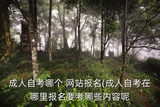 成人自考哪個 網(wǎng)站報名(成人自考在哪里報名要考哪些內(nèi)容呢
