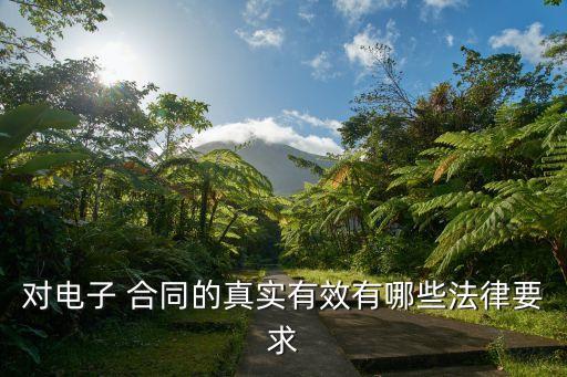 電子合同在線訂立流程規(guī)范