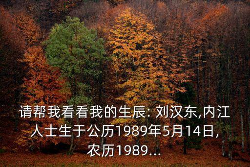 劉漢東