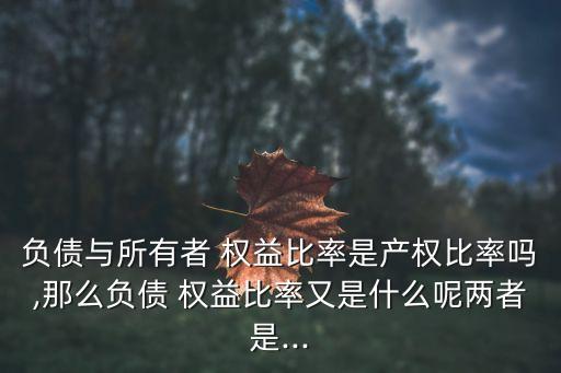 權(quán)益比