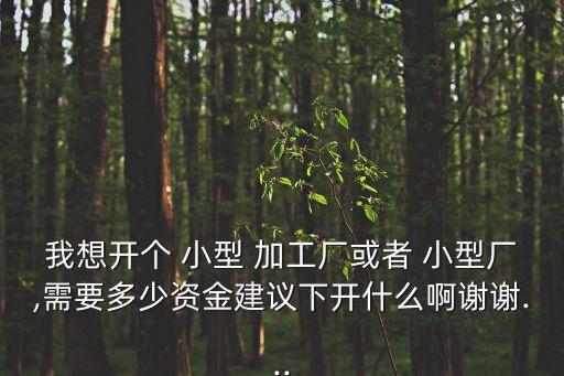 開辦小型加工廠,適合農(nóng)村開辦的小型加工廠