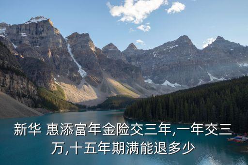 惠添富年金保險(xiǎn),新華人壽惠添富年金保險(xiǎn)