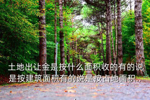  土地出讓金是按什么面積收的有的說是按建筑面積有的說是按占地面積...