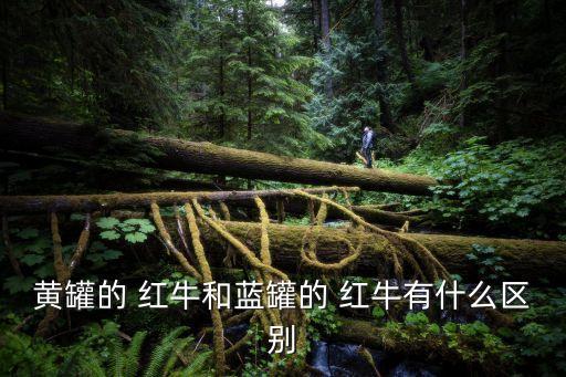 紅牛零售價,藍罐紅牛零售價