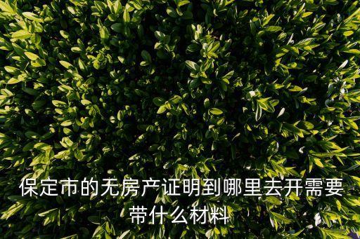  保定市的無(wú)房產(chǎn)證明到哪里去開(kāi)需要帶什么材料