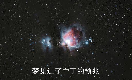 丁海龍