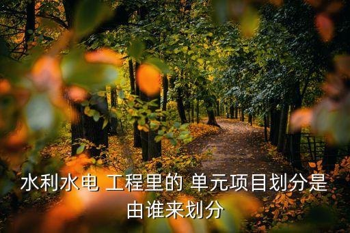 水利水電 工程里的 單元項(xiàng)目劃分是由誰來劃分
