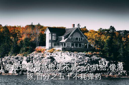 泰拉瑞亞海豚槍是不是一個(gè)機(jī)槍,像海豚,百分之五十不耗彈藥