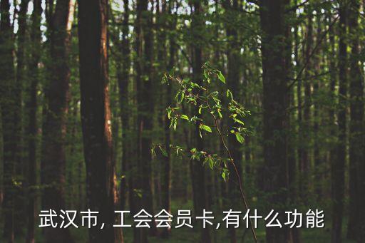 武漢市, 工會(huì)會(huì)員卡,有什么功能