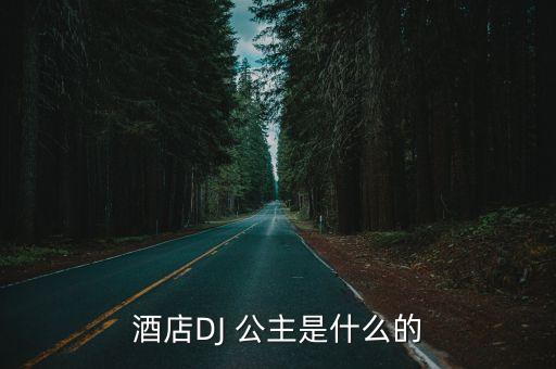 酒店DJ 公主是什么的