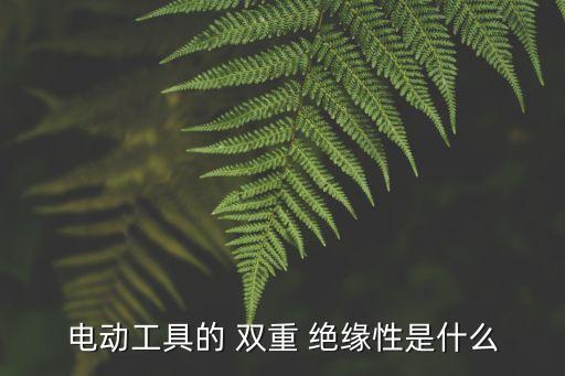 雙重絕緣