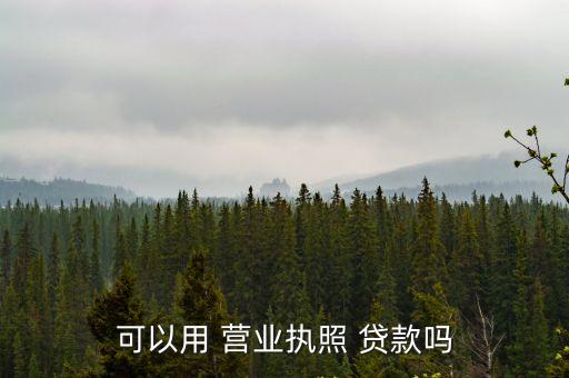 可以用 營(yíng)業(yè)執(zhí)照 貸款嗎