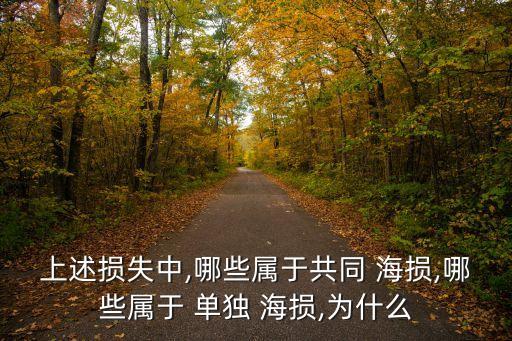 單獨(dú)海損