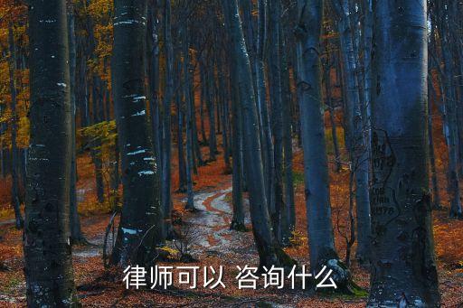 律師可以 咨詢什么