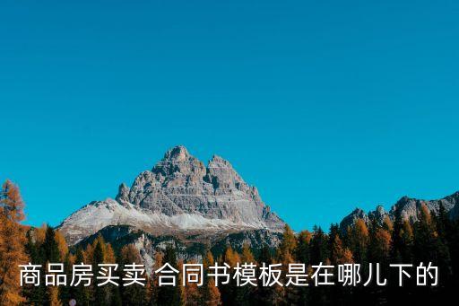 合同范本怎么下載,二手車交易合同范本下載