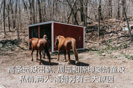 高圣遠(yuǎn)沒出軌, 周迅和陳坤竇靖童沒私情,兩人 離婚另有三大原因