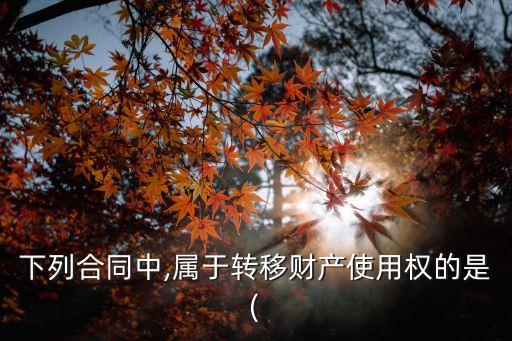 下列合同中,屬于轉(zhuǎn)移財(cái)產(chǎn)使用權(quán)的是(